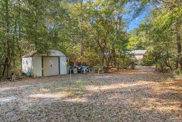 view of yard with a storage unit