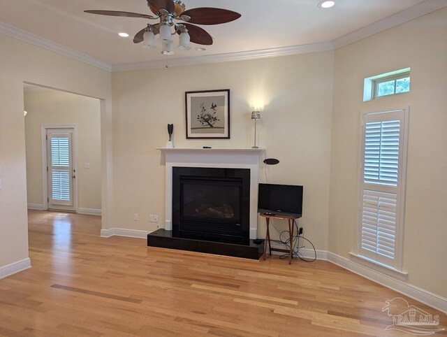 living room with light hardwood / wood-style floors, a healthy amount of sunlight, and ceiling fan