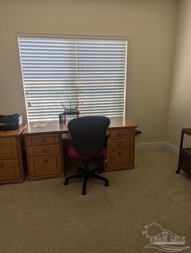 office with carpet floors