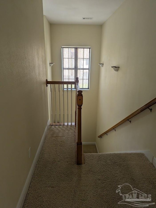 stairway featuring carpet