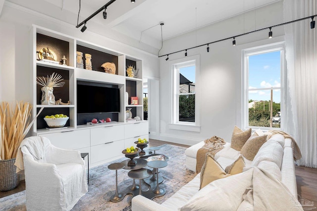 living room with track lighting, built in features, and wood finished floors