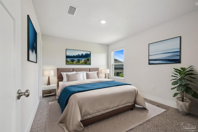 bedroom with carpet floors