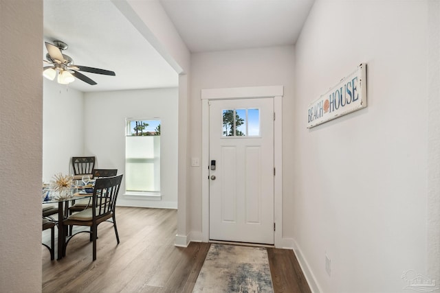 foyer with ceiling fan, wood-type flooring, and a wealth of natural light