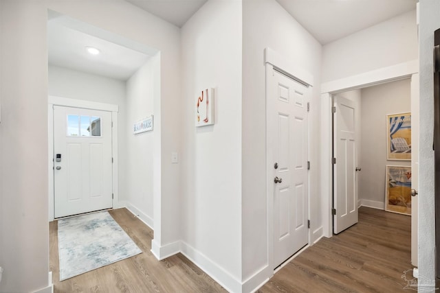 foyer featuring wood-type flooring