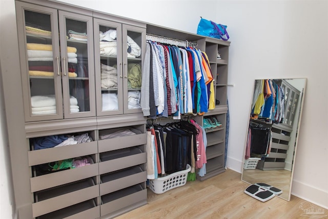 spacious closet with wood finished floors