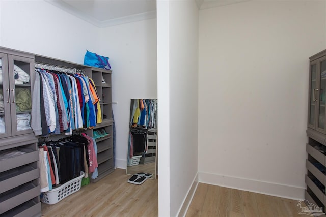 walk in closet featuring light wood-style flooring