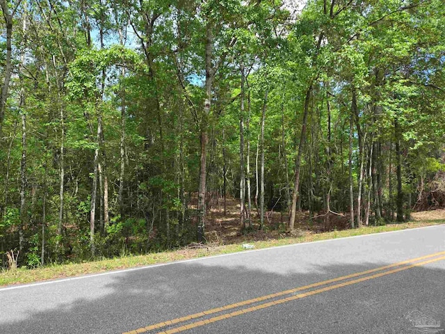 1131 Wolf Log Rd, Flomaton AL, 36441 land for sale