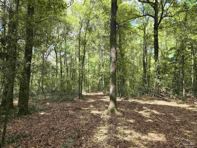 1131 Wolf Log Rd, Flomaton, AL 36441