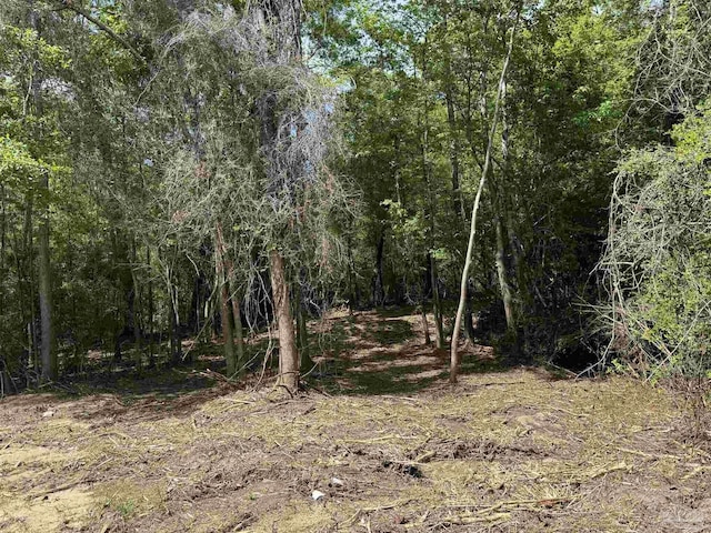 1131 Wolf Log Rd, Flomaton, AL 36441