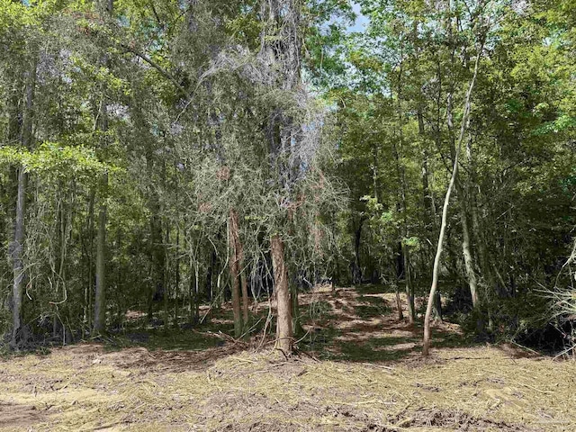 1131 Wolf Log Rd, Flomaton, AL 36441