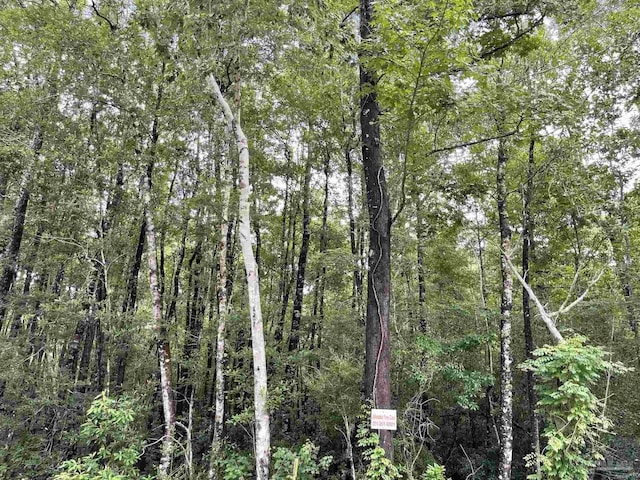 1131 Wolf Log Rd, Flomaton, AL 36441