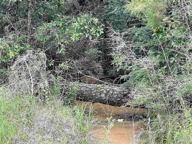 1131 Wolf Log Rd, Flomaton, AL 36441