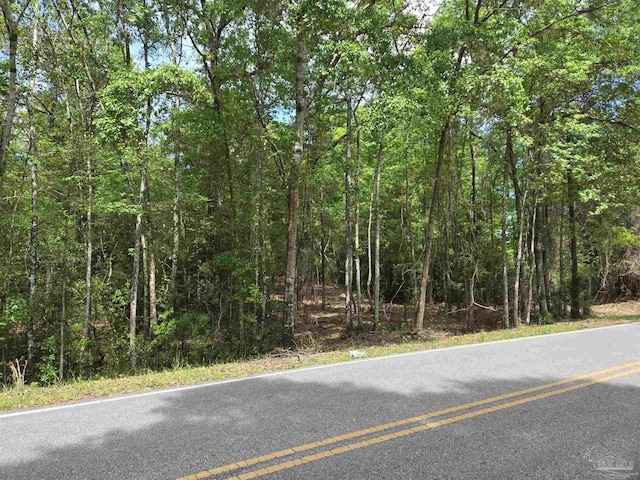 1131 Wolf Log Rd, Flomaton, AL 36441
