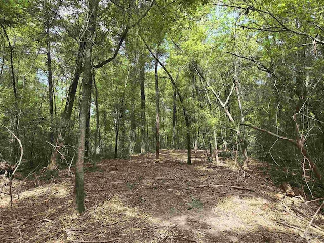 1131 Wolf Log Rd, Flomaton, AL 36441