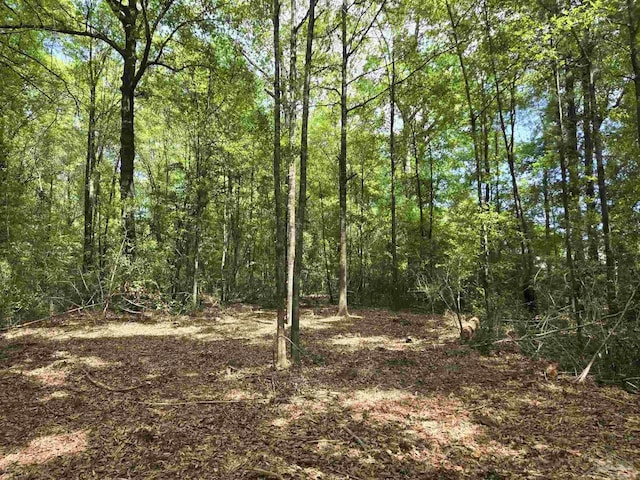 1131 Wolf Log Rd, Flomaton, AL 36441