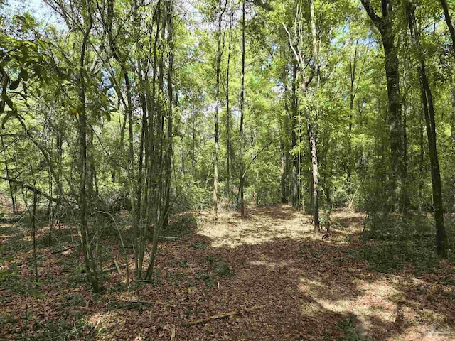 1131 Wolf Log Rd, Flomaton, AL 36441