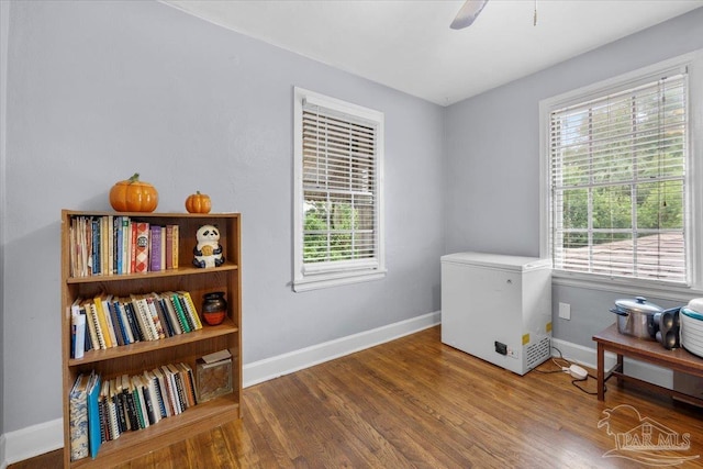 miscellaneous room with ceiling fan and wood-type flooring