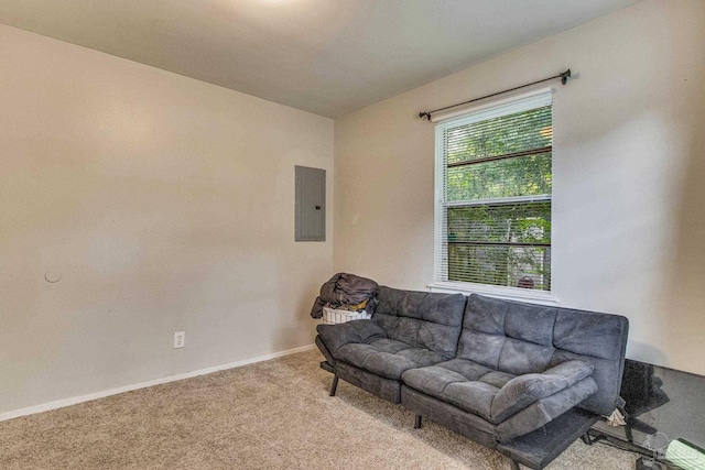 carpeted living room with electric panel