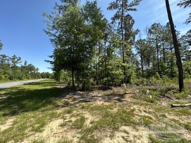 16 Steele Meadow Dr, Pace, FL 32571