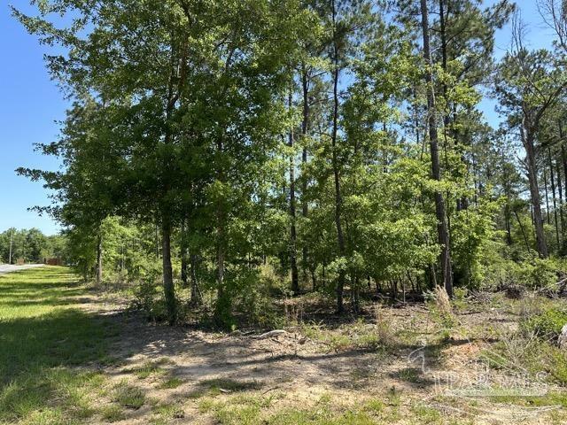 16 Steele Meadow Dr, Pace, FL 32571