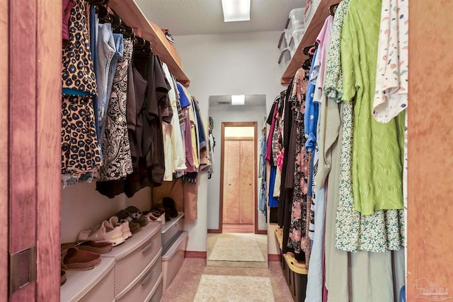 view of spacious closet