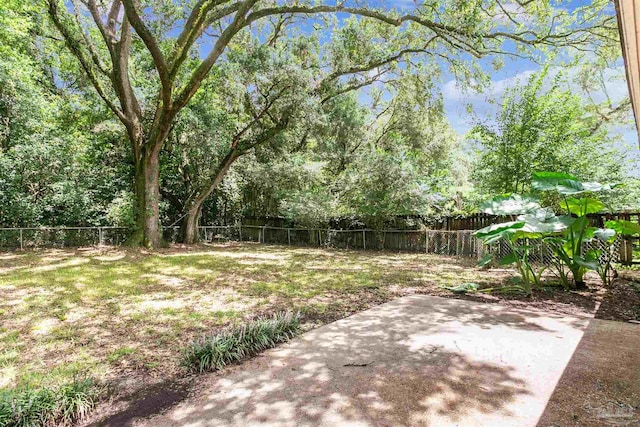 view of yard featuring a patio