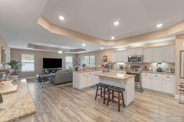 3246 Main St, Navarre, FL 32566 - kitchen featuring appliances with stainless steel finishes, open floor plan, a peninsula, a tray ceiling, and a sink