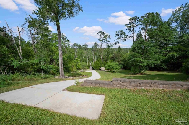 view of property's community featuring a wooded view and a yard
