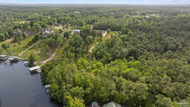 bird's eye view with a water view and a forest view