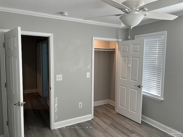 unfurnished bedroom with dark hardwood / wood-style flooring, ornamental molding, a walk in closet, ceiling fan, and a closet