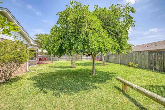 view of yard featuring a fenced backyard