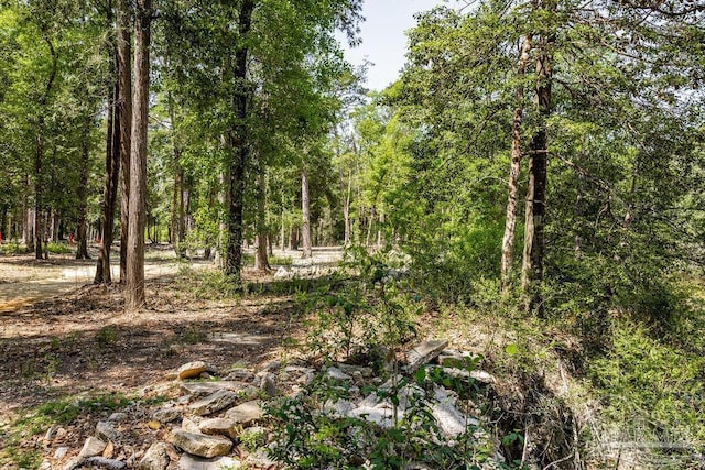 3.5 Wolf Log Rd, Flomaton, AL 36441