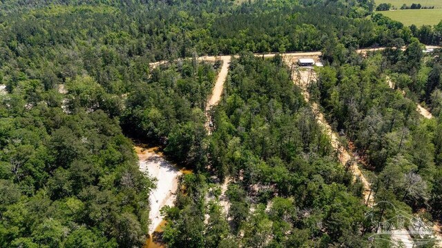 3.5 Wolf Log Rd, Flomaton, AL 36441