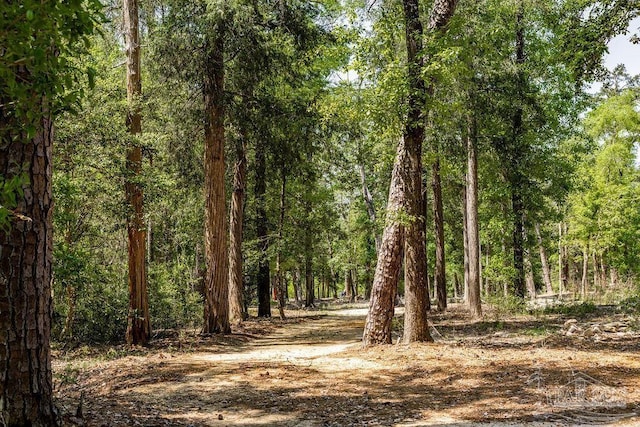 3.5 Wolf Log Rd, Flomaton, AL 36441