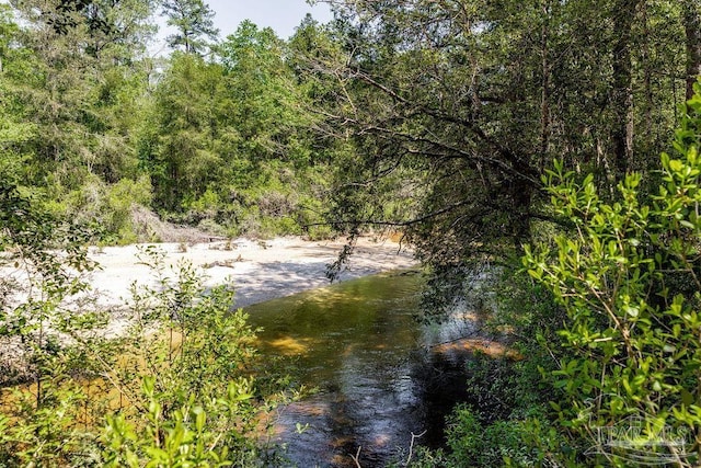3.5 Wolf Log Rd, Flomaton, AL 36441