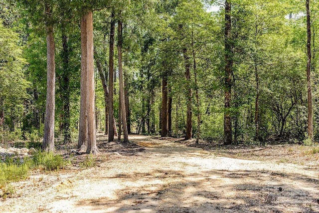 3.5 Wolf Log Rd, Flomaton, AL 36441