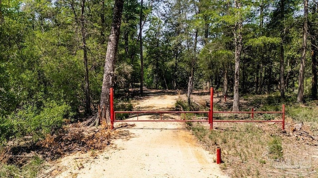 3.5 Wolf Log Rd, Flomaton, AL 36441
