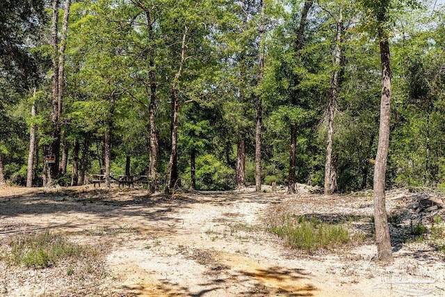 3.5 Wolf Log Rd, Flomaton, AL 36441