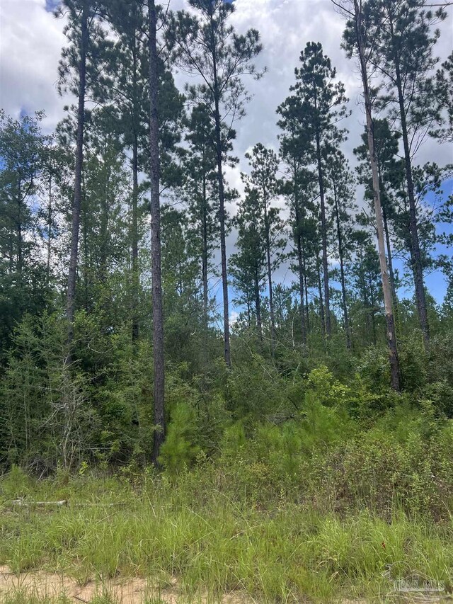 001 Sage Forest Ln, Pace FL, 32571 land for sale