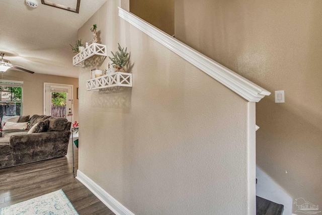 stairs with hardwood / wood-style floors and ceiling fan