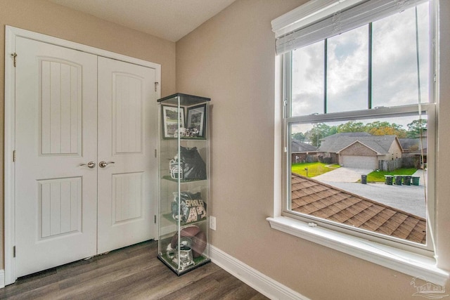 entryway featuring dark wood-type flooring