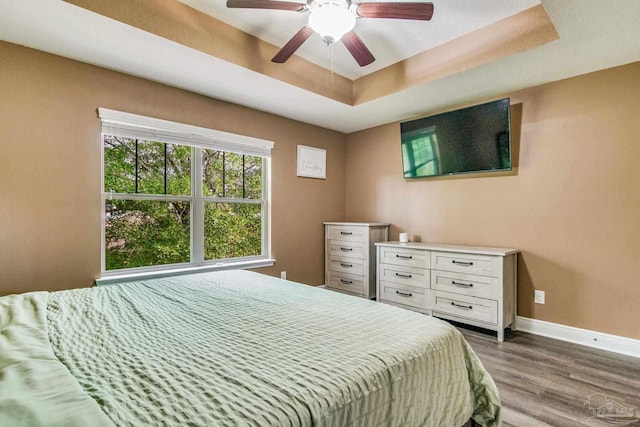 bedroom with hardwood / wood-style flooring, ceiling fan, and a tray ceiling