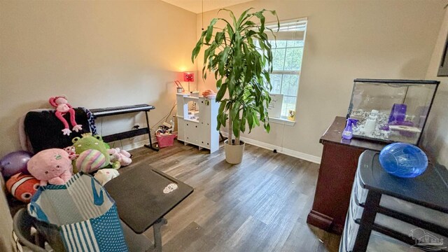 carpeted empty room with ceiling fan and lofted ceiling