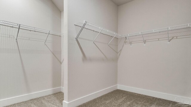 2733 Chevy Cir, Pace, FL 32571 - spacious closet featuring carpet flooring