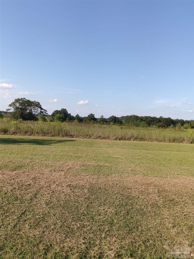 view of landscape featuring a rural view