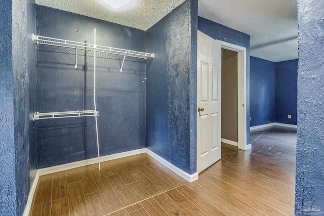 spacious closet featuring wood-type flooring