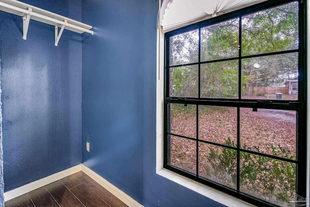 spacious closet featuring hardwood / wood-style flooring