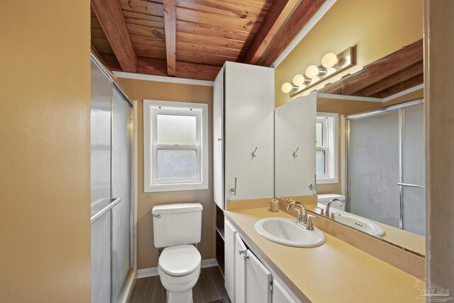 204 Camelia St, Gulf Breeze, FL 32561 - full bathroom featuring wood ceiling with exposed beams, healthy amount of natural light, a stall shower, vanity, and toilet