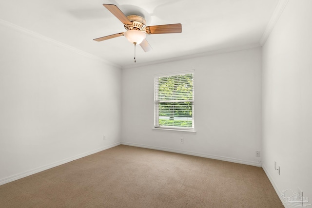 unfurnished room featuring ceiling fan, light colored carpet, and crown molding