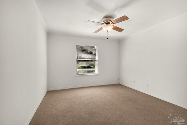 carpeted spare room with ceiling fan and ornamental molding